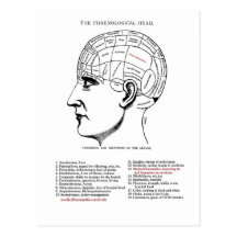 Medical Humanities Phrenology Postcards