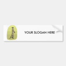 MEERKAT BUMPER STICKERS