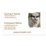 Meerkat Face Business Card business cards