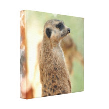 Meerkat Guard Canvas Print