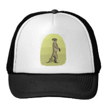 MEERKAT HATS