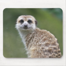 Meerkat Mouse Mat