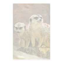 meerkat stationary stationery design