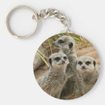 Meerkats on the lookout key chain
