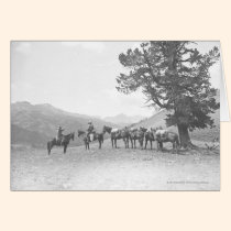 Men with packhorses looking over a hill cards