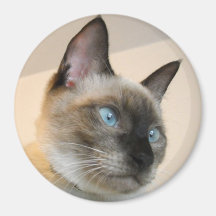 MEOW FRIDGE MAGNETS