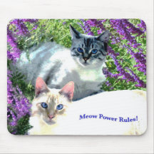 Meows Rule Mousepad