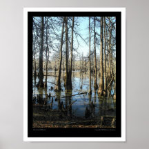 Merchant's Millpond Posters