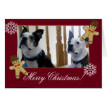 Merry Christmas Boston Terrier dogs greeting card