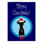 Merry Christmas Dachshund Cards