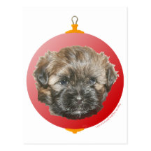 Merry Christmas Dear Little Rescued Dog Post Cards