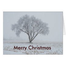 Merry Christmas Greeting Cards