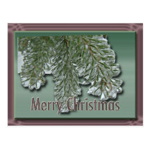 Merry Christmas Iced Arborvitae Postcards