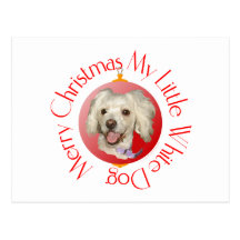 Merry Christmas Little White Dog Poodle / Bichon Postcards