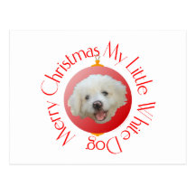 Merry Christmas Little White Dog Postcards