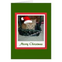 Merry Christmas/Orange Tabby Kitten Cards