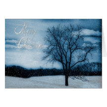 MERRY CHRISTMAS - PERSONAL OR BUSINESS PURPOSES GREETING CARD