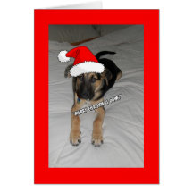 Merry Christmas Puppy Card