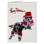 Merry Christmas with bernese Card