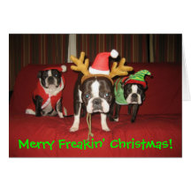 Merry Freakin' Christmas! Greeting Cards