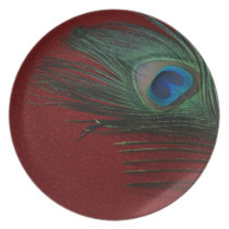 Metallic Red Peacock Feather Still Life plates