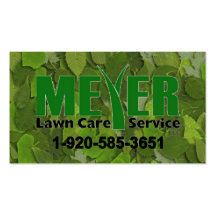 Meyer logo business card