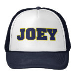 michigan logo style,esp for Joey Mesh Hats