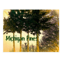 Michigan Pines Postcard