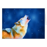 Midnight Howl Cards