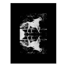 Midnight Ride Postcard