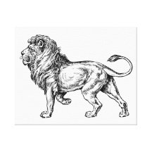 Mighty Lion Sketch Gallery Wrap Canvas