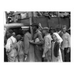 Migrant Vegetable Workers: 1939 Postcard