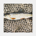 Mikes Trout Refrigerator Magnets