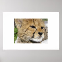 Mikey Poster