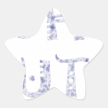 military Off Duty Black white Star Sticker