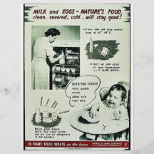 Milk And Eggs - Naturr's Food Flyers