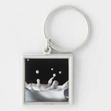 Milk Drop Key Chains
