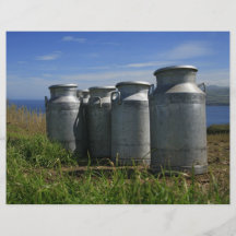 Milk urns flyers