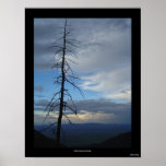 Miller Canyon Solitude Print