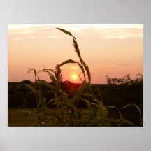 Milo Sunset 836 Poster