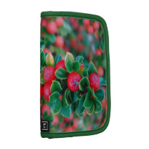 Mini Folio in berry fall colours Folio Planner