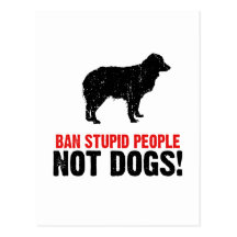 Miniature Australian Shepherd Postcards