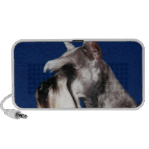 Miniature Schnauzer Head Study PC Speakers