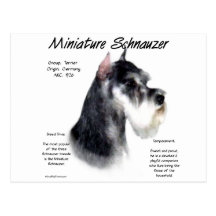 Miniature Schnauzer History Design Postcards
