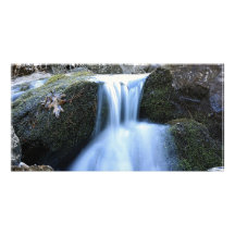 Miniature Waterfall Picture Card