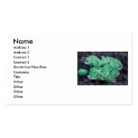 Mint tinted bouquet of roses business cards