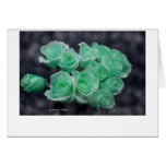 Mint tinted bouquet of roses greeting cards