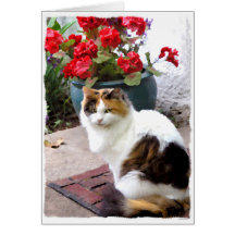 Miss Bunny Greeting Card