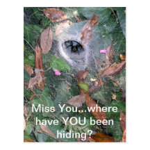 Miss You Postcard