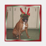 Missing You Boxer Fridge Magnet